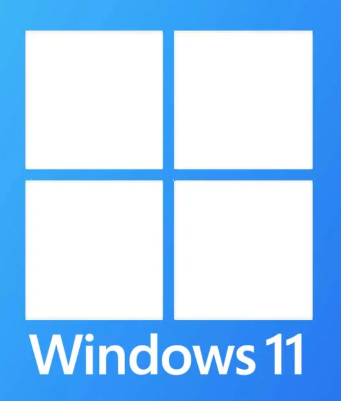 Windows 11