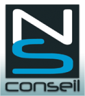 logo_NS_Conseil